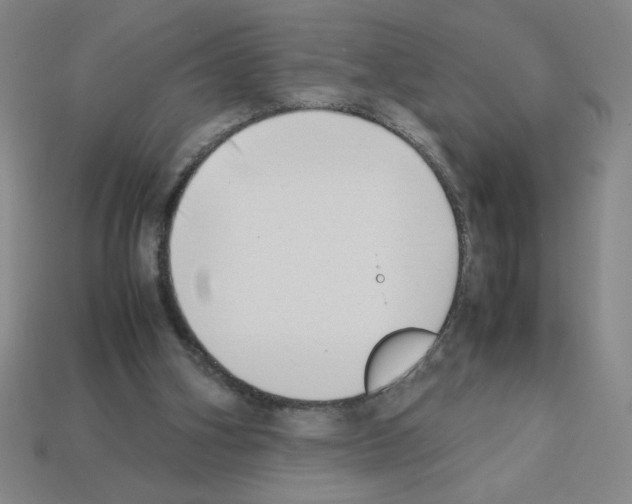 X0000112870106200910021341