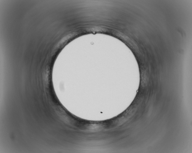 X0000112870111200910021341