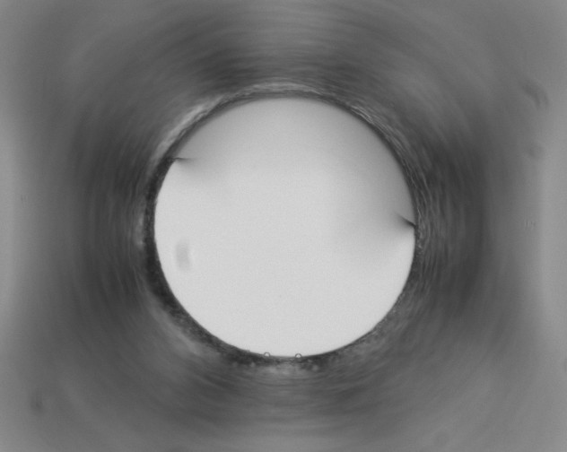 X0000112870112200910021341