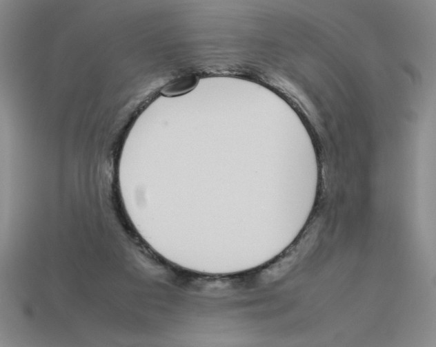 X0000112870113200910021341