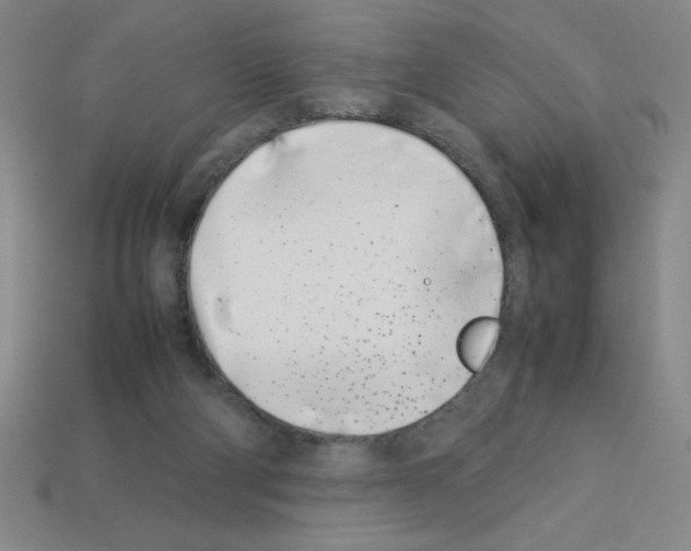 X0000112870114200910021341