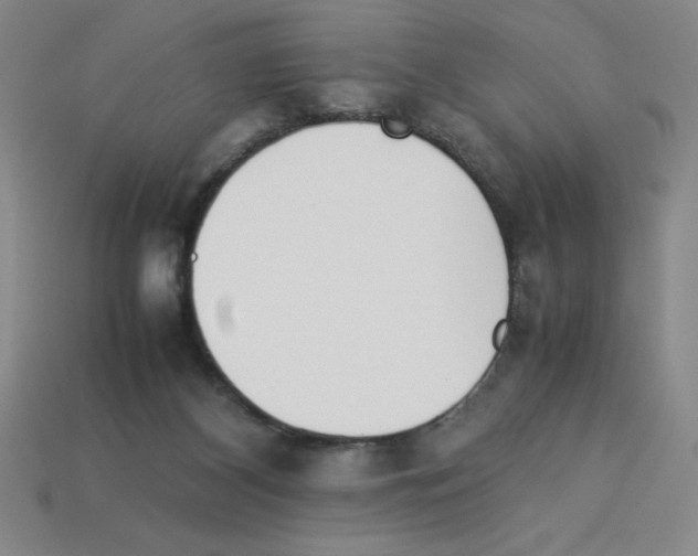 X0000112870116200910021341