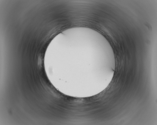 X0000112870124200910021341