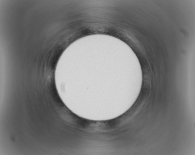 X0000112870125200910021341