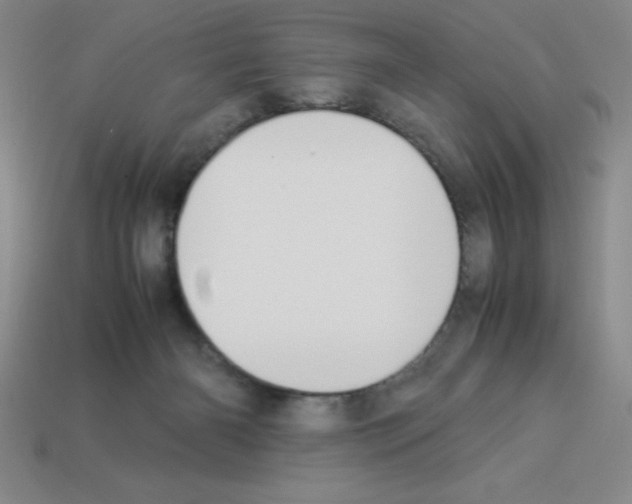 X0000112870126200910021341