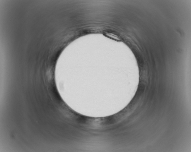 X0000112870131200910021341