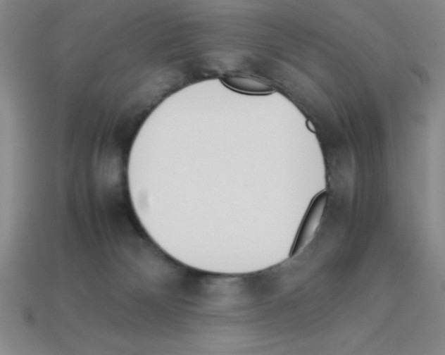 X0000112870132200910021341