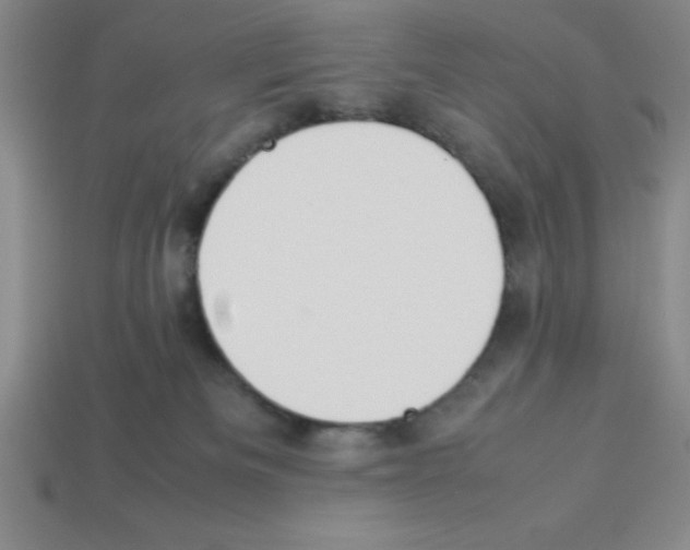 X0000112870133200910021341