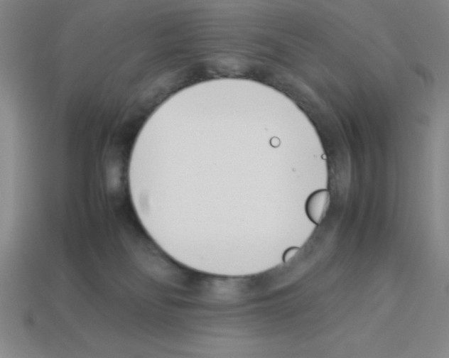 X0000112870134200910021341