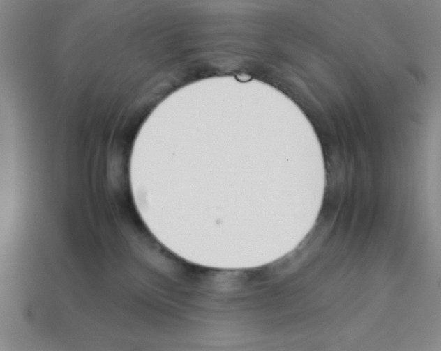 X0000112870136200910021341