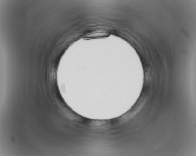 X0000112870137200910021341