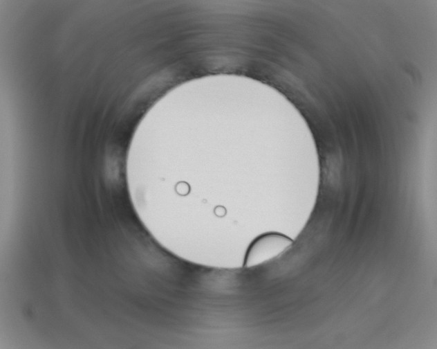 X0000112870138200910021341