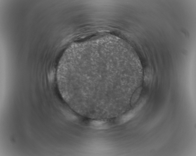 X0000112870139200910021341