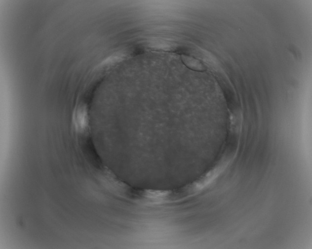 X0000112870143200910021340