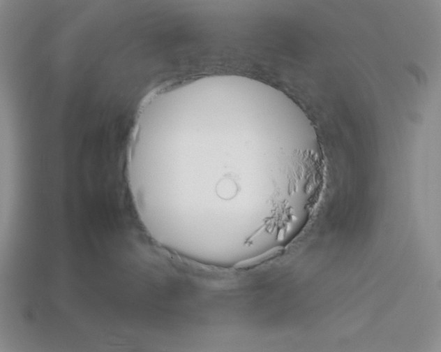 X0000112870144200910021340