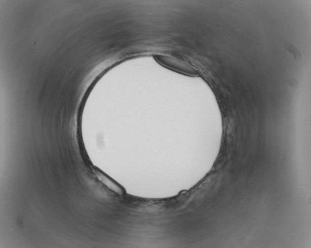 X0000112870148200910021340