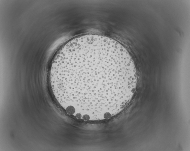 X0000112870149200910021340