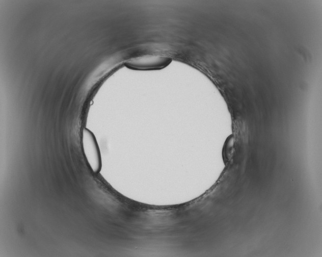 X0000112870150200910021340