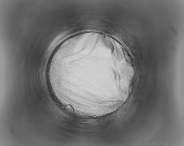 X0000112870151200910021340