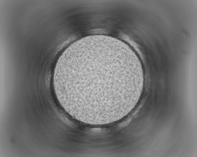 X0000112870153200910021340