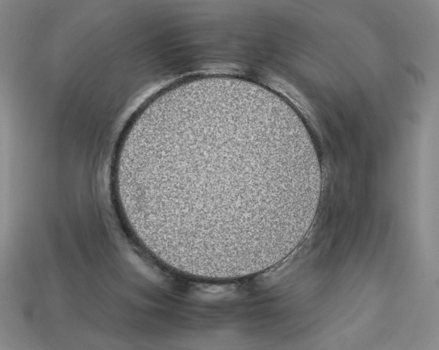 X0000112870155200910021340