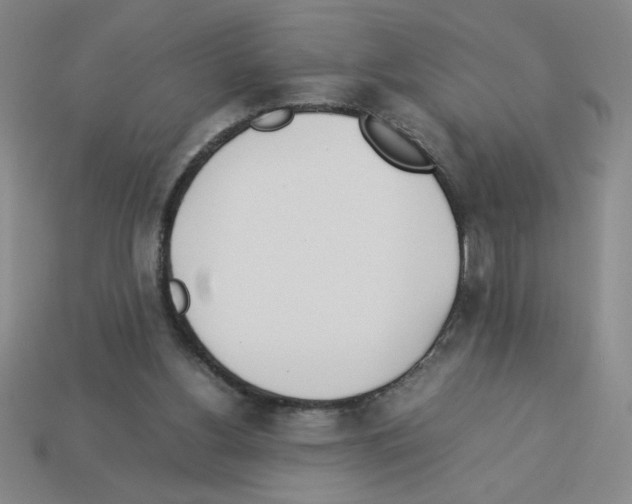 X0000112870156200910021340