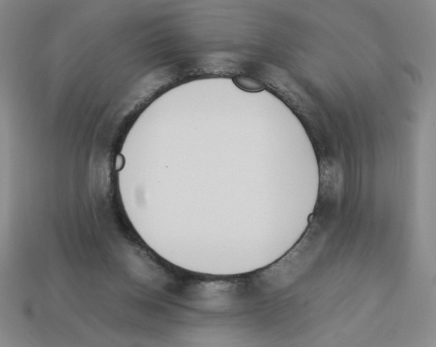 X0000112870158200910021340