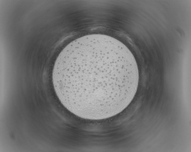 X0000112870161200910021340