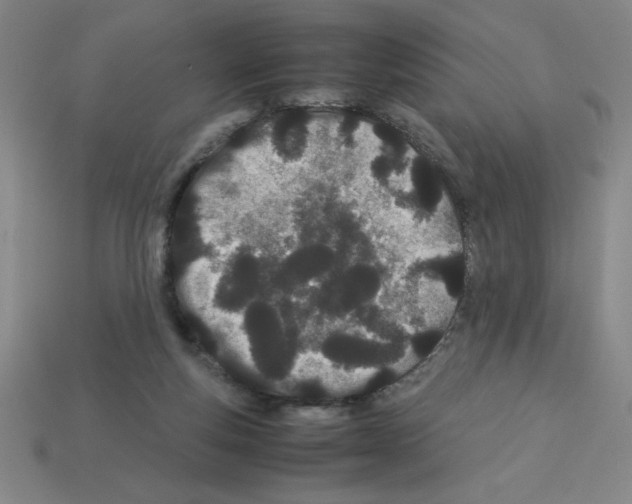 X0000112870163200910021340