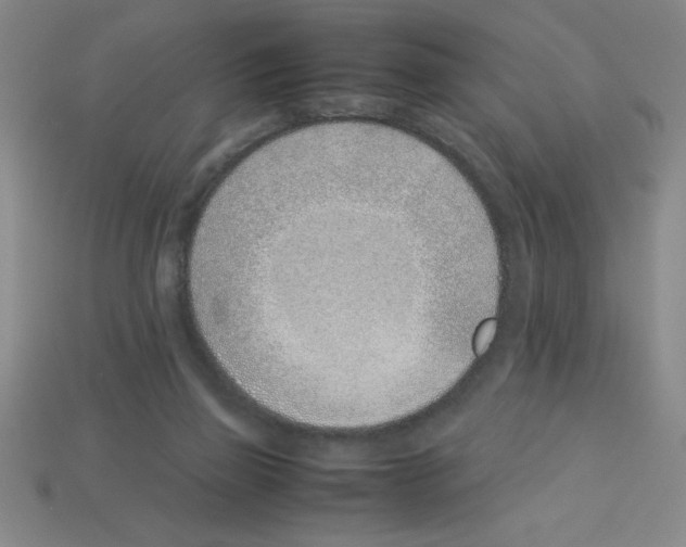 X0000112870165200910021340