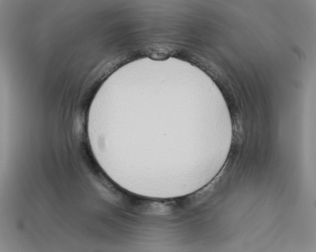 X0000112870166200910021340