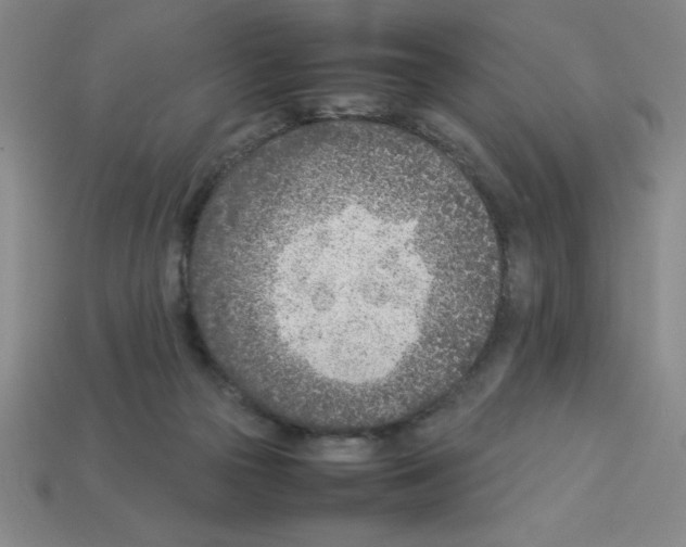 X0000112870169200910021340