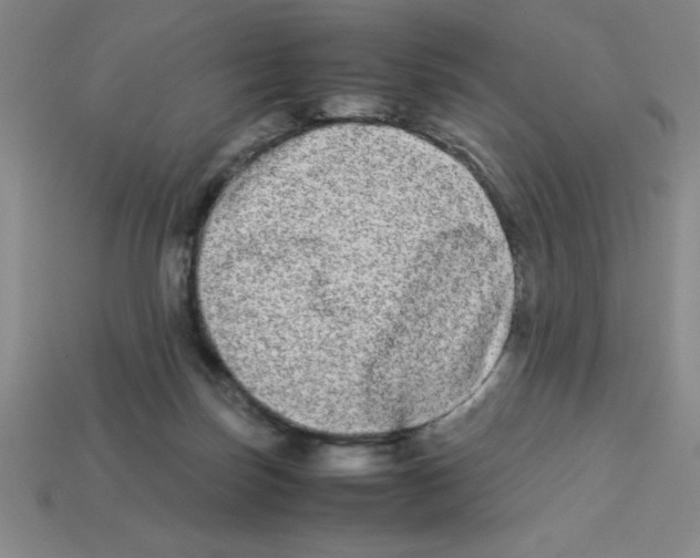 X0000112870171200910021340