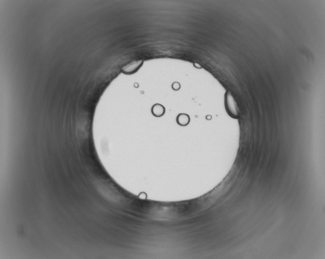 X0000112870174200910021340