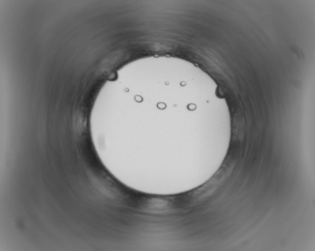 X0000112870176200910021340