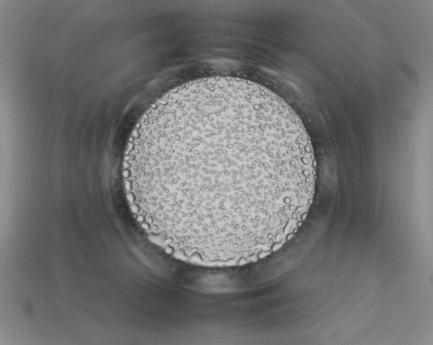 X0000112870177200910021340