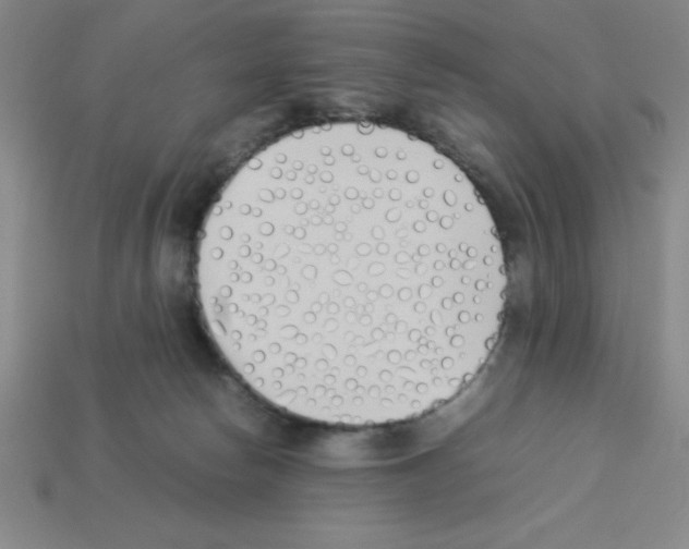 X0000112870178200910021340