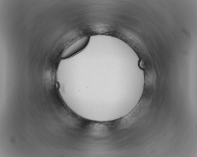 X0000112870180200910021340