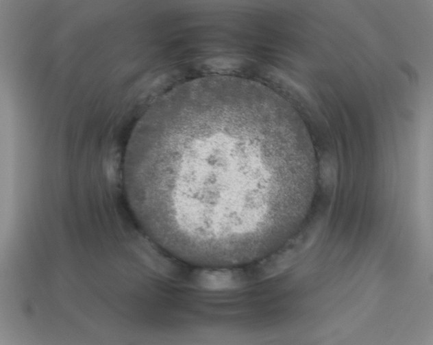 X0000112870181200910021340