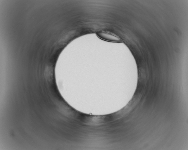 X0000112870184200910021340