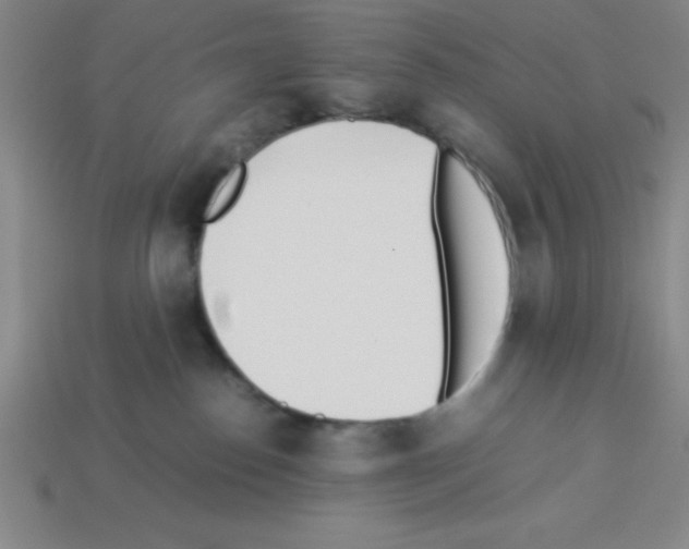 X0000112870186200910021340