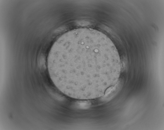 X0000112870187200910021340