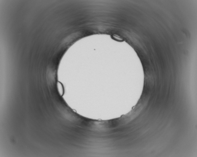 X0000112870188200910021340