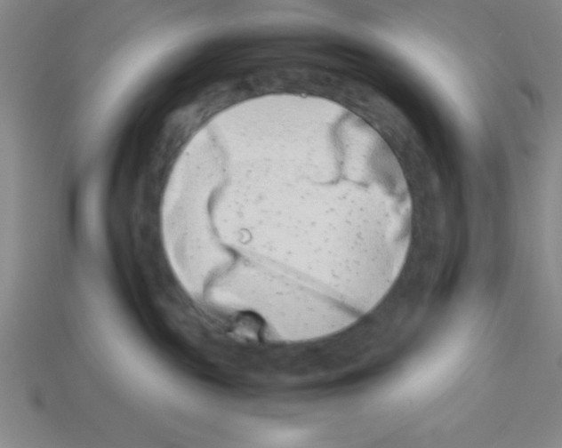 X0000112870189200910021340