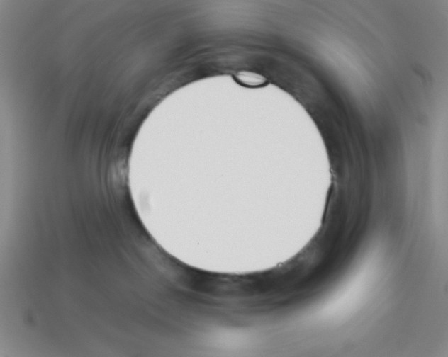 X0000112870190200910021340