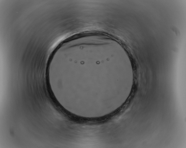 X0000112870196200910021340