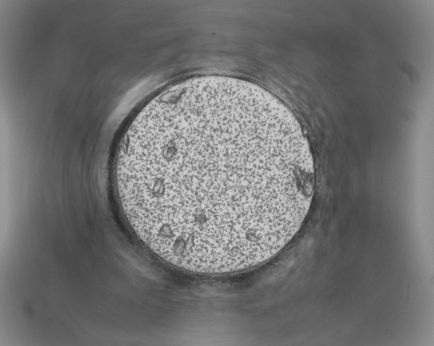 X0000112870199200910021340