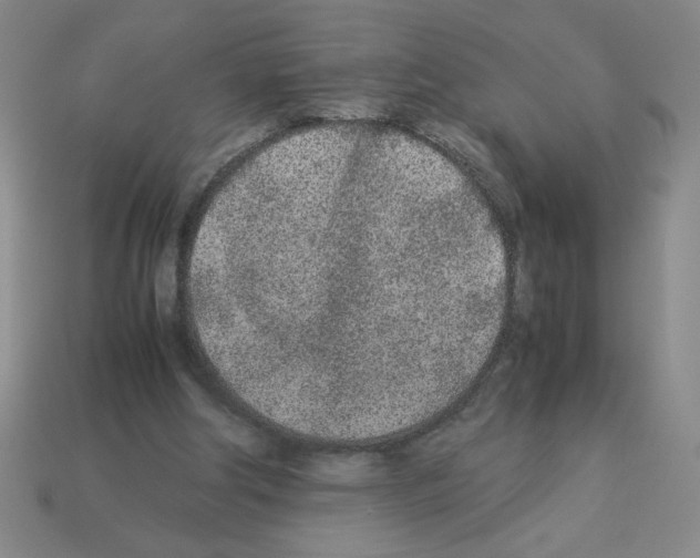 X0000112870202200910021340