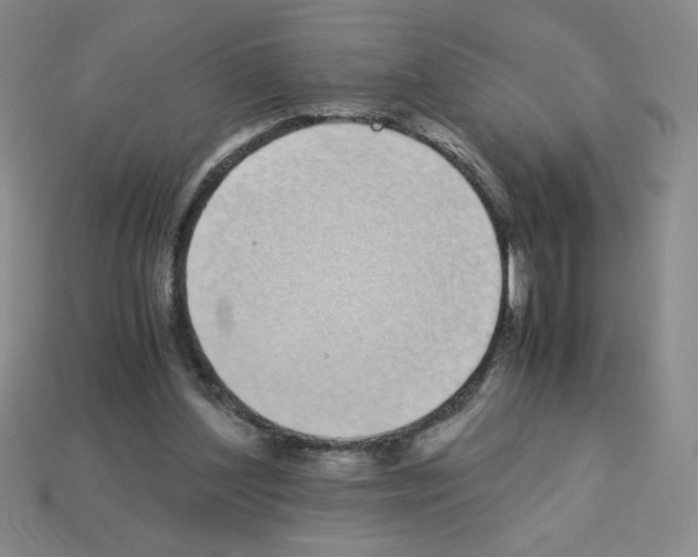 X0000112870204200910021339