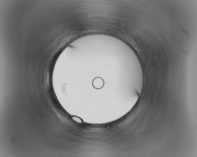 X0000112870205200910021339